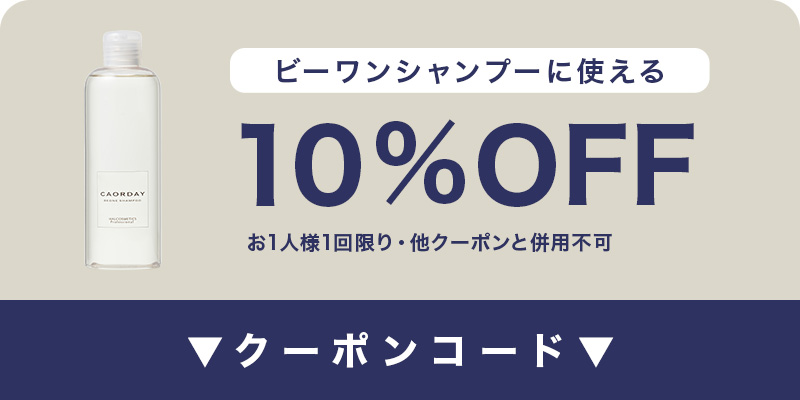 10%OFFクーポン