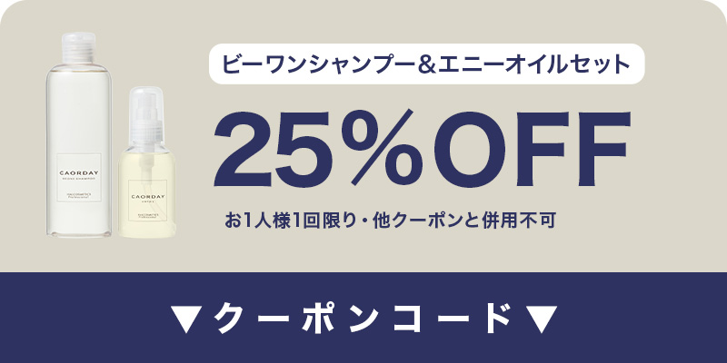 25%OFFクーポン