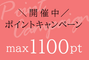 ポイントプレゼントキャンペーン開催中